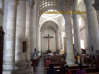 Fue el primer templo construido en
tierras de América y es por lo tanto el
más antiguo del Continente. Su
nombre, la Catedral de San Ildefonso
y fue edificada en la segunda mitad
del siglo XVI. Aunque fueron los
edificios de templos mayas los que
sufrieron las consecuencias para su
construcción, merece la pena
asombrarse por su arquitectura
rodeada por árboles de laurel.
Espectacular por su sencilla belleza,
admirable por su antigüedad y famosa
por albergar en su interior al Cristo
bajo techo más grande del mundo.
 