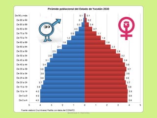 Berenice P. Ramírez
 