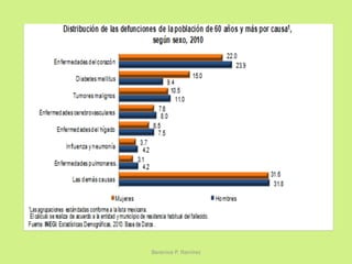 Berenice P. Ramírez
 