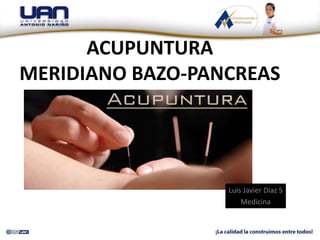 ACUPUNTURA
MERIDIANO BAZO-PANCREAS
Luis Javier Díaz S
Medicina
 