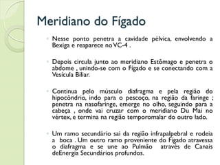 Meridiano do Fígado
◦ Nesse ponto penetra a cavidade pélvica, envolvendo a
Bexiga e reaparece noVC-4 .
◦ Depois circula junto ao meridiano Estômago e penetra o
abdome , unindo-se com o Fígado e se conectando com a
Vesícula Biliar.
◦ Continua pelo músculo diafragma e pela região do
hipocôndrio, indo para o pescoço, na região da faringe ;
penetra na nasofaringe, emerge no olho, seguindo para a
cabeça , onde vai cruzar com o meridiano Du Mai no
vértex, e termina na região temporomalar do outro lado.
◦ Um ramo secundário sai da região infrapalpebral e rodeia
a boca . Um outro ramo proveniente do Fígado atravessa
o diafragma e se une ao Pulmão através de Canais
deEnergia Secundários profundos.
 