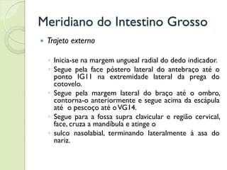 Meridiano do Intestino Grosso
 Trajeto externo
◦ Inicia-se na margem ungueal radial do dedo indicador.
◦ Segue pela face póstero lateral do antebraço até o
ponto IG11 na extremidade lateral da prega do
cotovelo.
◦ Segue pela margem lateral do braço até o ombro,
contorna-o anteriormente e segue acima da escápula
até o pescoço até oVG14.
◦ Segue para a fossa supra clavicular e região cervical,
face, cruza a mandíbula e atinge o
◦ sulco nasolabial, terminando lateralmente à asa do
nariz.
 