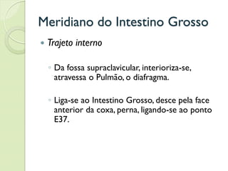 Meridiano do Intestino Grosso
 Trajeto interno
◦ Da fossa supraclavicular, interioriza-se,
atravessa o Pulmão, o diafragma.
◦ Liga-se ao Intestino Grosso, desce pela face
anterior da coxa, perna, ligando-se ao ponto
E37.
 