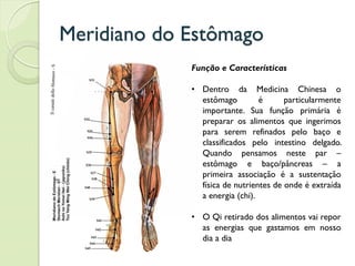 Meridiano do Estômago
Função e Características
• Dentro da Medicina Chinesa o
estômago é particularmente
importante. Sua função primária é
preparar os alimentos que ingerimos
para serem refinados pelo baço e
classificados pelo intestino delgado.
Quando pensamos neste par –
estômago e baço/pâncreas – a
primeira associação é a sustentação
física de nutrientes de onde é extraída
a energia (chi).
• O Qi retirado dos alimentos vai repor
as energias que gastamos em nosso
dia a dia
 