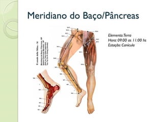 Meridiano do Baço/Pâncreas
Elemento:Terra
Hora: 09:00 as 11:00 hs
Estação: Canícula
 