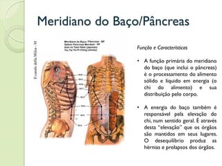 Meridiano do Baço/Pâncreas
Função e Características
• A função primária do meridiano
do baço (que inclui o pâncreas)
é o processamento do alimento
sólido e líquido em energia (o
chi do alimento) e sua
distribuição pelo corpo.
• A energia do baço também é
responsável pela elevação do
chi, num sentido geral. É através
desta “elevação” que os órgãos
são mantidos em seus lugares.
O desequilíbrio produz as
hérnias e prolapsos dos órgãos.
 