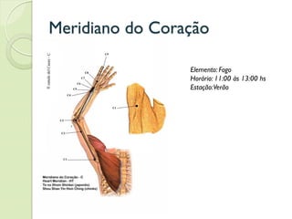 Meridiano do Coração
Elemento: Fogo
Horário: 11:00 às 13:00 hs
Estação:Verão
 