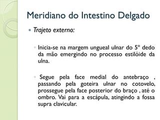 Meridiano do Intestino Delgado
 Trajeto externo:
◦ Inicia-se na margem ungueal ulnar do 5º dedo
da mão emergindo no processo estilóide da
ulna.
◦ Segue pela face medial do antebraço ,
passando pela goteira ulnar no cotovelo,
prossegue pela face posterior do braço , até o
ombro. Vai para a escápula, atingindo a fossa
supra clavicular.
 
