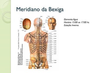 Meridiano da Bexiga
Elemento:Agua
Horário: 15:00 as 17:00 hs
Estação: Inverno
 