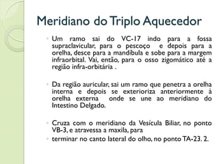 Meridiano do Triplo Aquecedor
◦ Um ramo sai do VC-17 indo para a fossa
supraclavicular, para o pescoço e depois para a
orelha, desce para a mandíbula e sobe para a margem
infraorbital. Vai, então, para o osso zigomático até a
região infra-orbitária .
◦ Da região auricular, sai um ramo que penetra a orelha
interna e depois se exterioriza anteriormente à
orelha externa onde se une ao meridiano do
Intestino Delgado.
◦ Cruza com o meridiano da Vesícula Biliar, no ponto
VB-3, e atravessa a maxila, para
◦ terminar no canto lateral do olho, no ponto TA-23. 2.
 