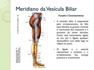 Meridiano daVesícula Biliar
Função e Características
• A vesicular biliar é responsável
pelo armazenamento da bílis
(que dissolve as graxas), controla
o movimento dos intestinos e o
processo de tomar decisões.
Como está intimamente ligado
ao seu par, o fígado, qualquer
desequilíbrio num deles logo se
reflete no outro.
• O fígado e a vesícula
representam a iniciativa e o
arrebatamento. Sua energia
promove o crescimento.
 