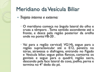 Meridiano daVesícula Biliar
 Trajeto interno e externo:
◦ O meridiano começa no ângulo lateral do olho e
cruza a têmpora . Toma sentido ascendente até a
fronte, e desce pela região posterior da orelha
onde no pontoVB-20 .
◦ Vai para a região cervical( VG14), segue para a
região supraclavicular até o E12, penetra no
tórax, atravessa o diafragma, entrando no Fígado
e Vesícula biliar, segue pelos flancos, contorna os
genitais e segue para o quadril, região sacra,
descendo pela face lateral da coxa, joelho, perna e
termina no 4º dedo do pé.
 