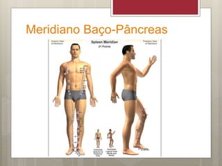 Meridiano Baço-Pâncreas
 