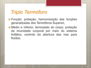 Triplo Termóforo
 Função: proteção; harmonização das funções
generalizadas dos Termóforos Superior,
 Médio e Inferior; termostato do corpo; proteção
da imunidade corporal por meio do sistema
linfático, controlo da abertura das vias para
fluídos.
 