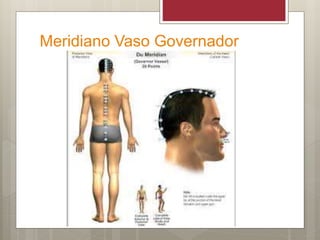 Meridiano Vaso Governador
 
