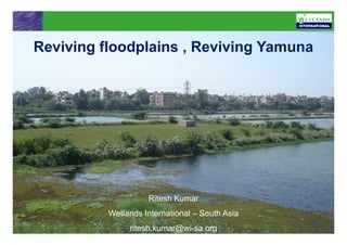Reviving floodplains , Reviving Yamuna




                    Ritesh Kumar
          Wetlands International – South Asia
               ritesh.kumar@wi-sa.org
 