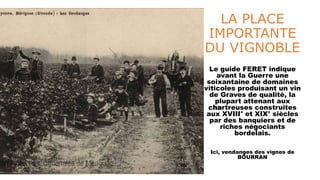 LA PLACE
IMPORTANTE
DU VIGNOBLE
Le guide FERET indique
avant la Guerre une
soixantaine de domaines
viticoles produisant un vin
de Graves de qualité, la
plupart attenant aux
chartreuses construites
aux XVIII° et XIX° siècles
par des banquiers et de
riches négociants
bordelais.
Ici, vendanges des vignes de
BOURRAN
 