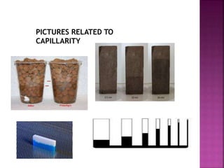 PICTURES RELATED TO 
CAPILLARITY 
 