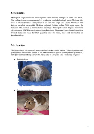 Sissejuhatus
Merisiga on valge või kollase- mustalaiguline sabatu näriline. Keha pikkus on tal kuni 30 cm.
Nad on hea sigivusega, andes aastas 3- 5 pesakonda, igas kaks kuni neli poega. Merisiga võib
elada 8- 10 aastat vanaks. Tema päritolu ei ole veel päris selge, kuid Lõuna- Ameerikas elab
kaheksa metsikut merisealiiki. Merisiga kodustati Andides umbes 7000 aastat tagasi. Ta
kodustati liha saamise ja meelelahutuse eesmärgil. Merisigade vanim kirjalik mainimine
pärineb aastast 1547 Hispaniola saarelt Santo Domigost. Tänapäeval on merisiga üle maailma
levinud koduloom, keda harilikult peetakse vaid ilu pärast, kuid neid kasutatakse ka
katseloomadena.

Merisea tõud
Siledakarvalised- ehk normaalkarvaga merisead on karvatüübi poolest kõige algupärasemad
ja kergemini hooldatavad. Umbes 3 cm pikkused karvad peavad olema pehmed ja läikivad,
karv peab olema siledalt ja vastu keha. Peale selle on veel palju kena välimusega tõugusid:
Satiinmerisiga

Rosettidega merisiga

3

 