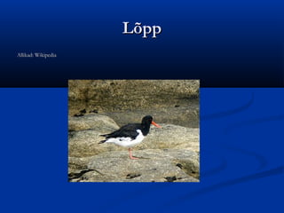 Lõpp
Allikad: Wikipedia

 