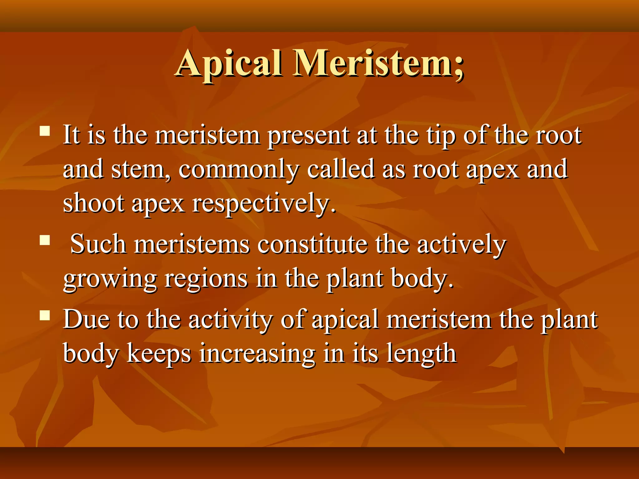 Apical Meristem;Apical Meristem;
 It is the meristem present at the tip of the rootIt is the meristem present at the tip of the root
and stem, commonly called as root apex andand stem, commonly called as root apex and
shoot apex respectively.shoot apex respectively.
 Such meristems constitute the activelySuch meristems constitute the actively
growing regions in the plant body.growing regions in the plant body.
 Due to the activity of apical meristem the plantDue to the activity of apical meristem the plant
body keeps increasing in its lengthbody keeps increasing in its length
 
