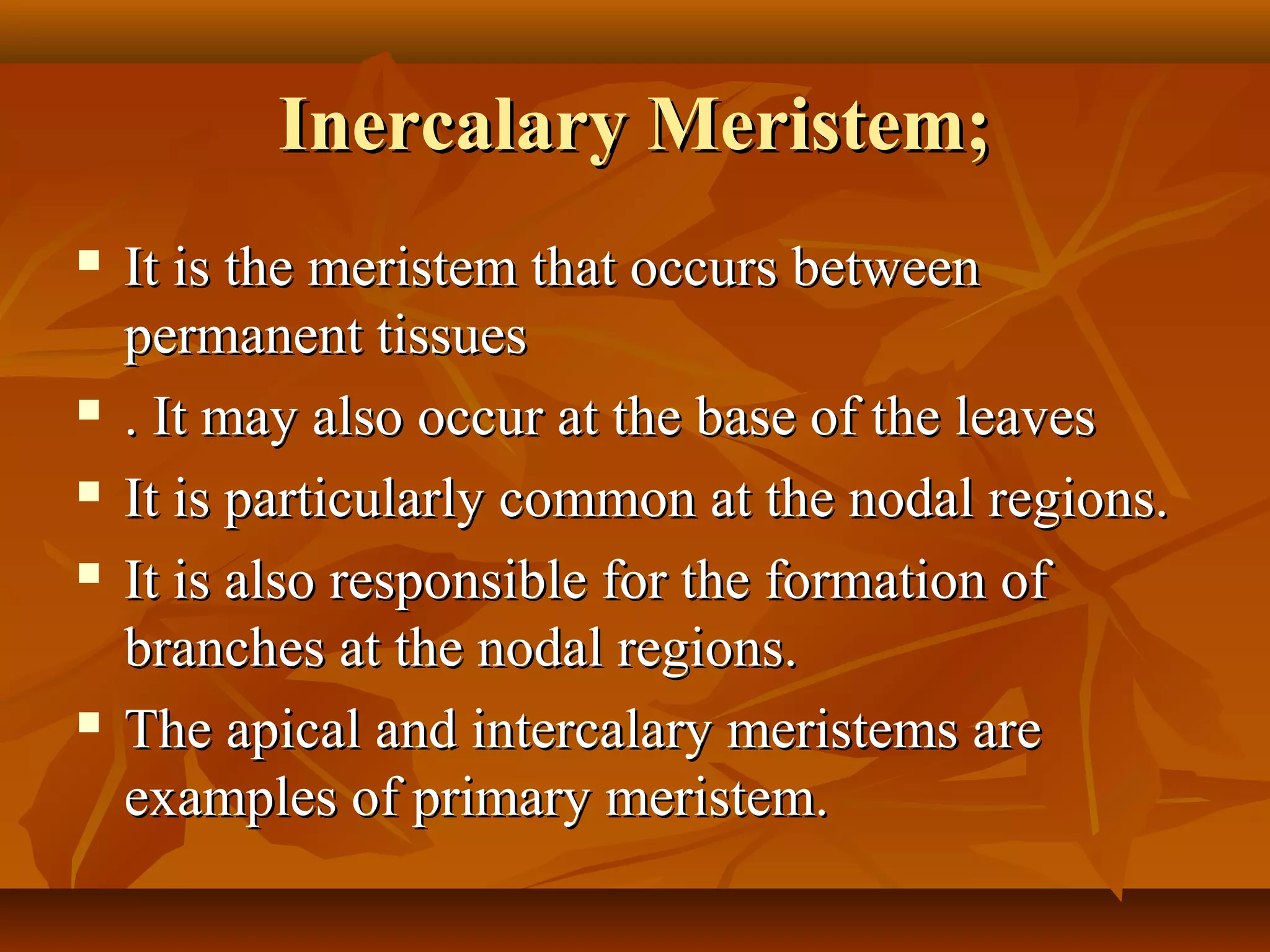 Inercalary Meristem;Inercalary Meristem;
 It is the meristem that occurs betweenIt is the meristem that occurs between
permanent tissuespermanent tissues
 . It may also occur at the base of the leaves. It may also occur at the base of the leaves
 It is particularly common at the nodal regions.It is particularly common at the nodal regions.
 It is also responsible for the formation ofIt is also responsible for the formation of
branches at the nodal regions.branches at the nodal regions.
 The apical and intercalary meristems areThe apical and intercalary meristems are
examples of primary meristem.examples of primary meristem.
 