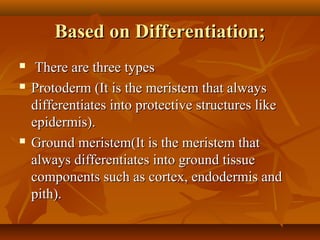 Based on Differentiation;Based on Differentiation;
 There are three typesThere are three types
 Protoderm (It is the meristem that alwaysProtoderm (It is the meristem that always
differentiates into protective structures likedifferentiates into protective structures like
epidermis).epidermis).
 Ground meristem(It is the meristem thatGround meristem(It is the meristem that
always differentiates into ground tissuealways differentiates into ground tissue
components such as cortex, endodermis andcomponents such as cortex, endodermis and
pith).pith).
 