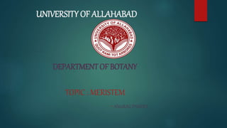 UNIVERSITY OF ALLAHABAD
DEPARTMENT OF BOTANY
TOPIC : MERISTEM
-ANURAG PANDEY
 