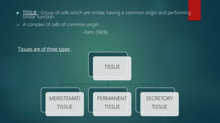  TISSUE : Group of cells which are similar, having a common origin and performing
similar function.
 A complex of cells of common origin.
-Fahn (1928)
Tissues are of three types :
TISSUE
MERISTEMATI
TISSUE
PERMANENT
TISSUE
SECRETORY
TISSUE
 