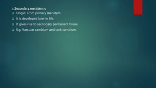 3.Secondary meristem -:
 Origin: From primary meristem.
 It is developed later in life.
 It gives rise to secondary permanent tissue.
 E.g. Vascular cambium and cork cambium.
 
