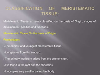 Meristematic Tissue is mainly classified on the basis of Origin, stages of
development, position and functions.
Meristematic Tissue On the basis of Origin
Promeristem:
The earliest and youngest meristematic tissue.
It originates from the embryo.
The primary meristem arises from the promeristem.
It is found in the root and the shoot tips.
It occupies very small area in plant body
 
