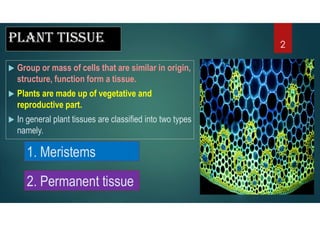 Plant tissue
 Group or mass of cells that are similar in origin,
structure, function form a tissue.
 Plants are made up of vegetative and
reproductive part.
 In general plant tissues are classified into two types
namely.
1. Meristems
2. Permanent tissue
2
 