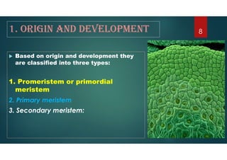 1. origin and develoPment
 Based on origin and development they
are classified into three types:
1. Promeristem or primordial
meristem
2. Primary meristem
3. Secondary meristem:
8
 