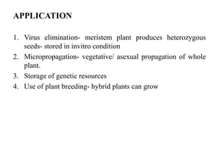 APPLICATION
1. Virus elimination- meristem plant produces heterozygous
seeds- stored in invitro condition
2. Micropropagation- vegetative/ asexual propagation of whole
plant.
3. Storage of genetic resources
4. Use of plant breeding- hybrid plants can grow
 