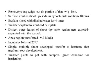 • Remove young twigs- cut tip portion of that twig- 1cm.
• Surface sterilize shoot tip- sodium hypochlorite solution- 10mins
• Explant rinsed with distlled water for 4 times
• Transfer explant to sterilized petriplate.
• Dissect outer leaves of shoot tip- apex region gets exposed-
separated with the scalpel.
• Apex region transferred- MS Media
• Incubate- 16hrs at 25ºC.
• Single/ multiple shoot developed- transfer to hormone free
medium- root development.
• Transfer plants to pot with compost- green condition for
hardening.
 