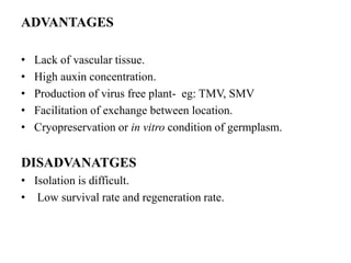 ADVANTAGES
• Lack of vascular tissue.
• High auxin concentration.
• Production of virus free plant- eg: TMV, SMV
• Facilitation of exchange between location.
• Cryopreservation or in vitro condition of germplasm.
DISADVANATGES
• Isolation is difficult.
• Low survival rate and regeneration rate.
 