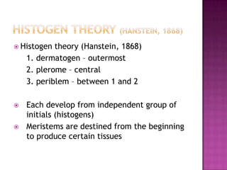 Histogen theory (Hanstein, 1868)Histogen theory (Hanstein, 1868)	1. dermatogen – outermost	2. plerome – central	3. periblem – between 1 and 2Each develop from independent group of initials (histogens)Meristems are destined from the beginning to produce certain tissues