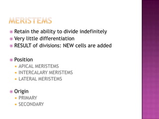 mERISTEMSRetain the ability to divide indefinitelyVery little differentiationRESULT of divisions: NEW cells are addedPositionAPICAL MERISTEMSINTERCALARY MERISTEMSLATERAL MERISTEMSOriginPRIMARY SECONDARY 