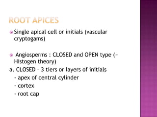 Root apicesSingle apical cell or initials (vascular cryptogams) Angiosperms : CLOSED and OPEN type (~ Histogen theory)a. CLOSED – 3 tiers or layers of initials	- apex of central cylinder	- cortex	- root cap