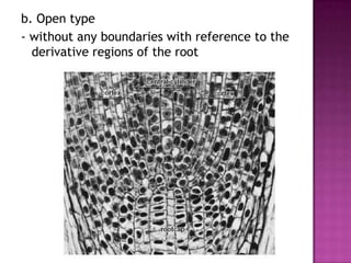 b. Open type- without any boundaries with reference to the derivative regions of the root