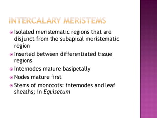 Intercalary meristemsIsolated meristematic regions that are disjunct from the subapicalmeristematic regionInserted between differentiated tissue regionsInternodes mature basipetallyNodes mature firstStems of monocots: internodes and leaf sheaths; in Equisetum
