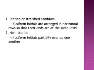 1. Storied or stratified cambium    -- fusiform initials are arranged in horizontal rows so that their ends are at the same level2. Non- storied    -- fusiform initials partially overlap one another
