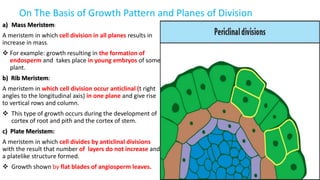 On The Basis of Growth Pattern and Planes of Division
a) Mass Meristem:
A meristem in which cell division in all planes results in
increase in mass.
 For example: growth resulting in the formation of
endosperm and takes place in young embryos of some
plant.
b) Rib Meristem:
A meristem in which cell division occur anticlinal (t right
angles to the longitudinal axis) in one plane and give rise
to vertical rows and column.
 This type of growth occurs during the development of
cortex of root and pith and the cortex of stem.
c) Plate Meristem:
A meristem in which cell divides by anticlinal divisions
with the result that number of layers do not increase and
a platelike structure formed.
 Growth shown by flat blades of angiosperm leaves.
 