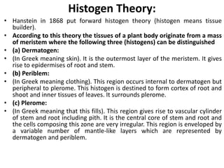 Histogen Theory:
• Hanstein in 1868 put forward histogen theory (histogen means tissue
builder).
• According to this theory the tissues of a plant body originate from a mass
of meristem where the following three (histogens) can be distinguished
• (a) Dermatogen:
• (In Greek meaning skin). It is the outermost layer of the meristem. It gives
rise to epidermises of root and stem.
• (b) Periblem:
• (In Greek meaning clothing). This region occurs internal to dermatogen but
peripheral to plerome. This histogen is destined to form cortex of root and
shoot and inner tissues of leaves. It surrounds plerome.
• (c) Plerome:
• (In Greek meaning that this fills). This region gives rise to vascular cylinder
of stem and root including pith. It is the central core of stem and root and
the cells composing this zone are very irregular. This region is enveloped by
a variable number of mantle-like layers which are represented by
dermatogen and periblem.
 