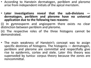 • According to Hanstein dermatogen, periblem and plerome
arise from independent initials of the apical meristem.
• Later investigations reveal that the sub-divisions —
dermatogen, periblem and plerome have no universal
application due to the following two reasons:
(i) In gymnosperm and angiosperm there exists no clear
distinction between periblem and plerome.
(ii) The respective roles of the three histogens cannot be
demonstrated.
• The main weakness of Hanstein’s concept was to assign
specific destinies of histogens. The histogens — dermatogen,
periblem and plerome are committal and respectfully give
rise to epidermis, cortex and stele. Later this theory was
superseded by tunica- corpus theory because the zones are
noncommittal.
 