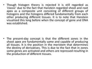 • Though histogen theory is rejected it is still regarded as
‘classic’ due to the fact that Hanstein regarded shoot and root
apex as a composite unit consisting of different groups of
histogens and the histogens differed fundamentally from each
other producing different tissues. It is to note that Hanstein
visualized this long before when the concept of gene and DNA
was established.
• The present-day concept is that the different zones in the
shoot apex are fundamentally same and capable of producing
all tissues. It is the position in the meristem that determines
the destiny of derivatives. This is due to the fact that in zones
some genes are activated and others are repressed resulting in
the production of different tissues.
 