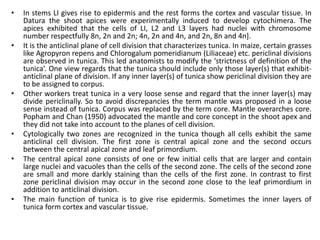 • In stems LI gives rise to epidermis and the rest forms the cortex and vascular tissue. In
Datura the shoot apices were experimentally induced to develop cytochimera. The
apices exhibited that the cells of LI, L2 and L3 layers had nuclei with chromosome
number respectfully 8n, 2n and 2n; 4n, 2n and 4n, and 2n, 8n and 4n].
• It is the anticlinal plane of cell division that characterizes tunica. In maize, certain grasses
like Agropyron repens and Chlorogalum pomeridianum (Liliaceae) etc. periclinal divisions
are observed in tunica. This led anatomists to modify the ‘strictness of definition of the
tunica’. One view regards that the tunica should include only those layer(s) that exhibit-
anticlinal plane of division. If any inner layer(s) of tunica show periclinal division they are
to be assigned to corpus.
• Other workers treat tunica in a very loose sense and regard that the inner layer(s) may
divide periclinally. So to avoid discrepancies the term mantle was proposed in a loose
sense instead of tunica. Corpus was replaced by the term core. Mantle overarches core.
Popham and Chan (1950) advocated the mantle and core concept in the shoot apex and
they did not take into account to the planes of cell division.
• Cytologically two zones are recognized in the tunica though all cells exhibit the same
anticlinal cell division. The first zone is central apical zone and the second occurs
between the central apical zone and leaf primordium.
• The central apical zone consists of one or few initial cells that are larger and contain
large nuclei and vacuoles than the cells of the second zone. The cells of the second zone
are small and more darkly staining than the cells of the first zone. In contrast to first
zone periclinal division may occur in the second zone close to the leaf primordium in
addition to anticlinal division.
• The main function of tunica is to give rise epidermis. Sometimes the inner layers of
tunica form cortex and vascular tissue.
 