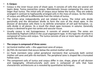 • ii. Corpus:
• Corpus is the inner tissue zone of shoot apex. It consists of cells that are several cell
layers deep. Tunica overarches corpus. Meristematic tissues composing this zone are
larger than tunica. The initial cells of corpus occur below the tunica. They are orderly
arranged in contrast to haphazardly arranged cells in the mass of corpus. So the initials
of corpus are difficult to differentiate from the initials of tunica.
• The initials arise independently and not related to tunica. The initial cells divide
periclinally and the derivatives divide to form the core of the shoot apex. In the
division of derivative cells there is no definite orientation of cell wall formation, i.e.
cells divide in all planes. As a result the shoot apex increases in volume. Generally
corpus is destined to give rise cortex and vascular tissue.
• Usually corpus is not homogeneous. It consists of several zones. The zones are
illustrated by Popham (1952) in the usual angiosperm type. In this type the meristem is
composed of tunica and corpus. The tunica consists of one or more layers of cells that
overlie the corpus.
• The corpus is composed of three zones:
• (a) Central mother cells —the uppermost zone of corpus.
• (b) Pith-rib meristem that occurs below the central mother cell zone.
• (c) Flank meristem (also called peripheral meristem) that surrounds both central
mother cell zone and pith-rib meristem. The peripheral zone is shaped like a truncated
hollow cone.
• The component cells of tunica and corpus differ in size, shape, plane of cell division
and topography. Ultrastructurally each zone is composed of cells that have
characteristic architectures as is revealed by quantitative techniques.
 