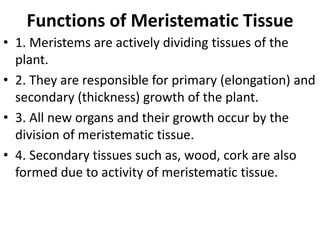 Functions of Meristematic Tissue
• 1. Meristems are actively dividing tissues of the
plant.
• 2. They are responsible for primary (elongation) and
secondary (thickness) growth of the plant.
• 3. All new organs and their growth occur by the
division of meristematic tissue.
• 4. Secondary tissues such as, wood, cork are also
formed due to activity of meristematic tissue.
 