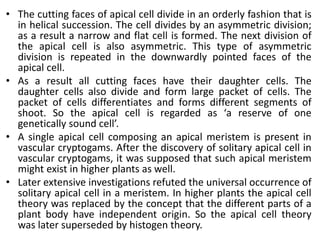 • The cutting faces of apical cell divide in an orderly fashion that is
in helical succession. The cell divides by an asymmetric division;
as a result a narrow and flat cell is formed. The next division of
the apical cell is also asymmetric. This type of asymmetric
division is repeated in the downwardly pointed faces of the
apical cell.
• As a result all cutting faces have their daughter cells. The
daughter cells also divide and form large packet of cells. The
packet of cells differentiates and forms different segments of
shoot. So the apical cell is regarded as ‘a reserve of one
genetically sound cell’.
• A single apical cell composing an apical meristem is present in
vascular cryptogams. After the discovery of solitary apical cell in
vascular cryptogams, it was supposed that such apical meristem
might exist in higher plants as well.
• Later extensive investigations refuted the universal occurrence of
solitary apical cell in a meristem. In higher plants the apical cell
theory was replaced by the concept that the different parts of a
plant body have independent origin. So the apical cell theory
was later superseded by histogen theory.
 